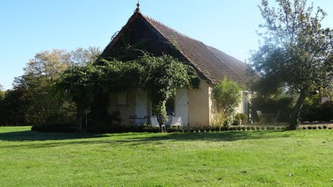 Property building, Day, Garden