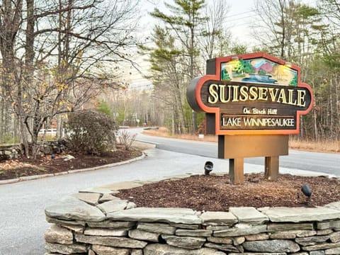 Suissevale Lake Retreat - Hot Tub, Beach and Games House in Colorado