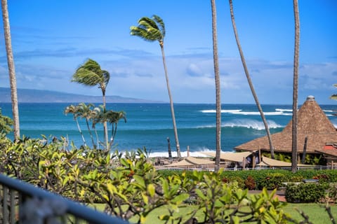 Napili Shores H261 Apartment in Kapalua