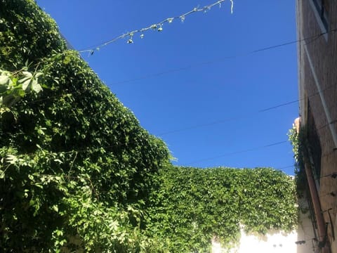 Spring, Day, Garden view