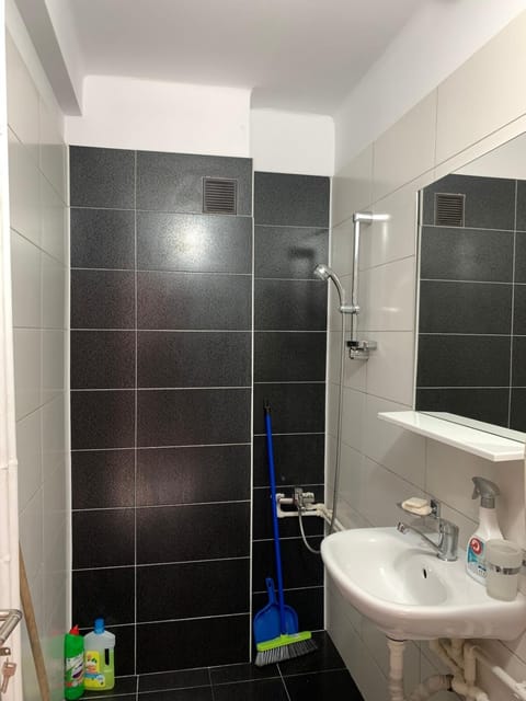 Old Center Apartment Apartment in Craiova