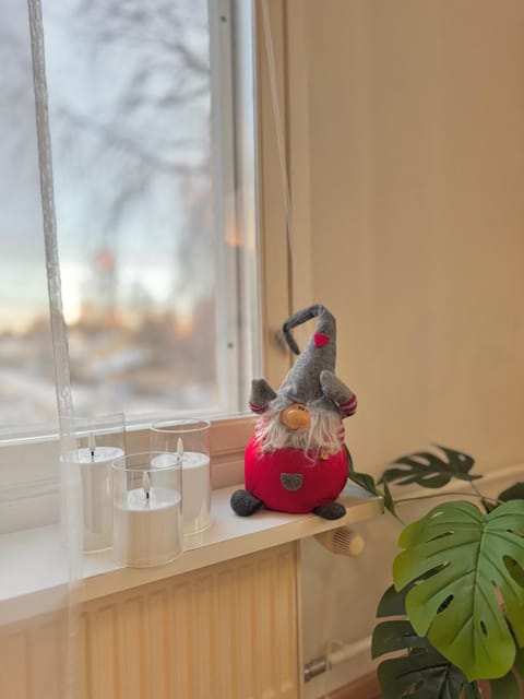 Cozy Downtown Apartment with Private Finnish Sauna Apartment in Rovaniemi