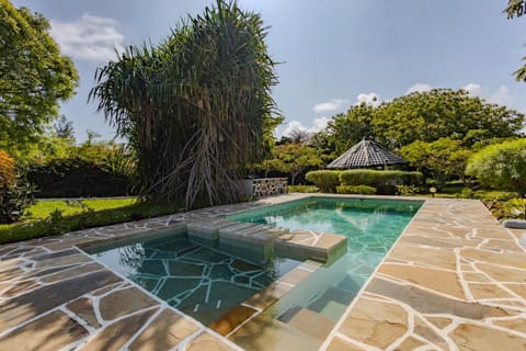 Day, Natural landscape, Garden, Garden view, Pool view, Swimming pool