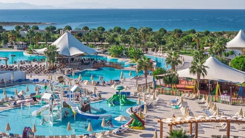 Day, Pool view, Swimming pool, sunbed
