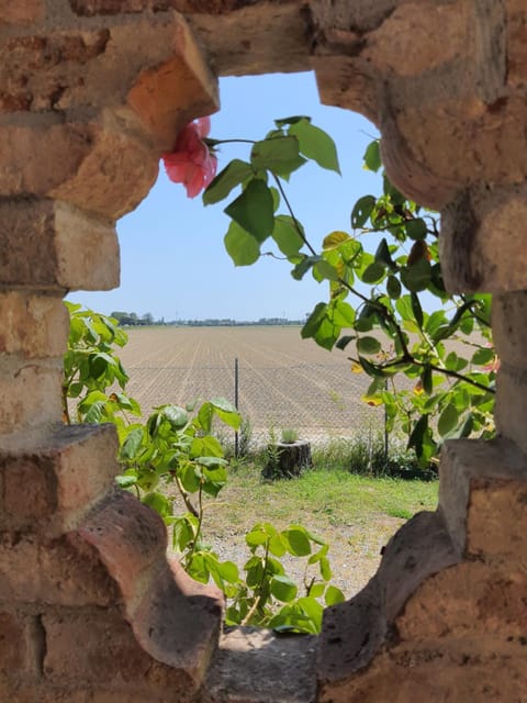 Mandre-Chiggiato, Sesta Presa House in Caorle