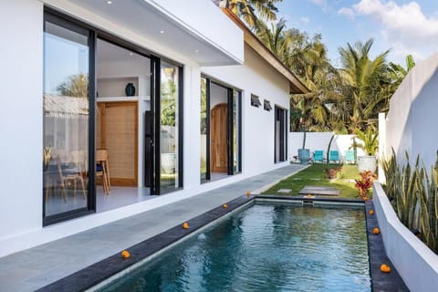 Garden, Garden view, Pool view, Swimming pool, sunbed