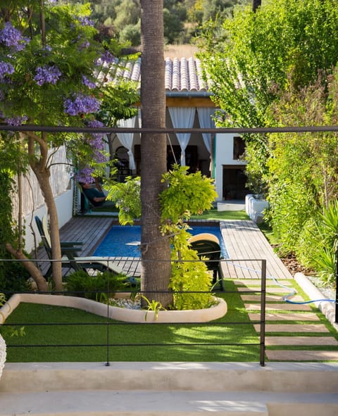 Day, Swimming pool, Swimming pool