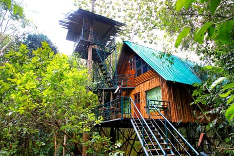 Property building, Natural landscape