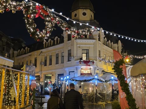 Apartament luxury centrul vechi Craiova Apartment in Craiova