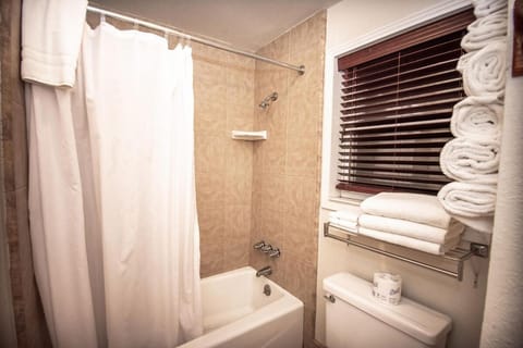 Family Getaway Near Yosemite - Downtown Mariposa Apartment in Mariposa