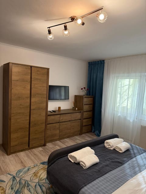Cozy Two-Room Apartment Apartment in Craiova