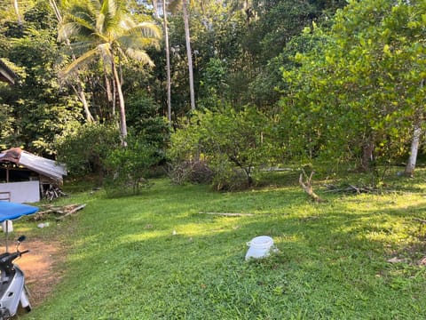 Day, Natural landscape, Garden, Garden