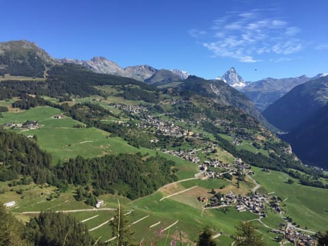 Casa Luigina Apartment in Torgnon