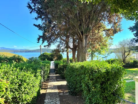 Spring, Day, Natural landscape, Garden, Garden view