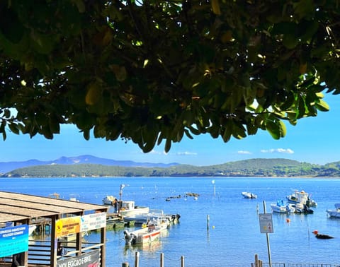 Day, Natural landscape, River view