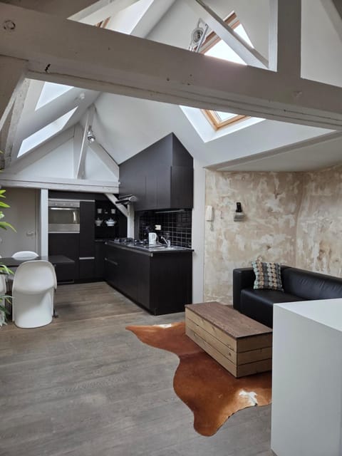 Strole's House Apartment in Ghent