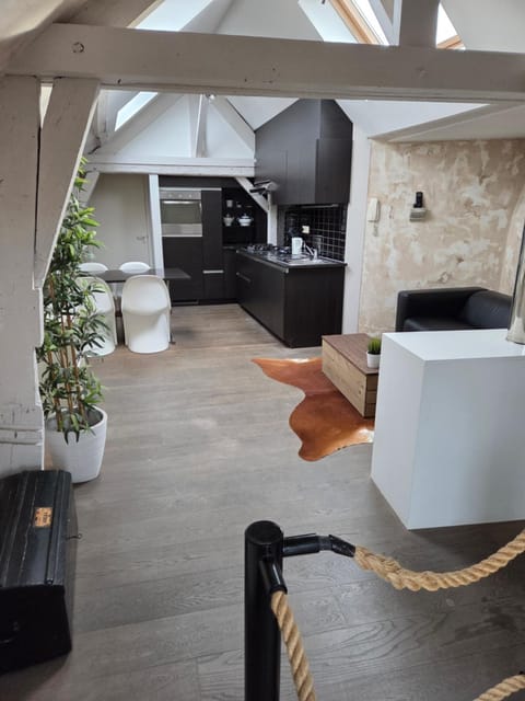 Strole's House Apartment in Ghent