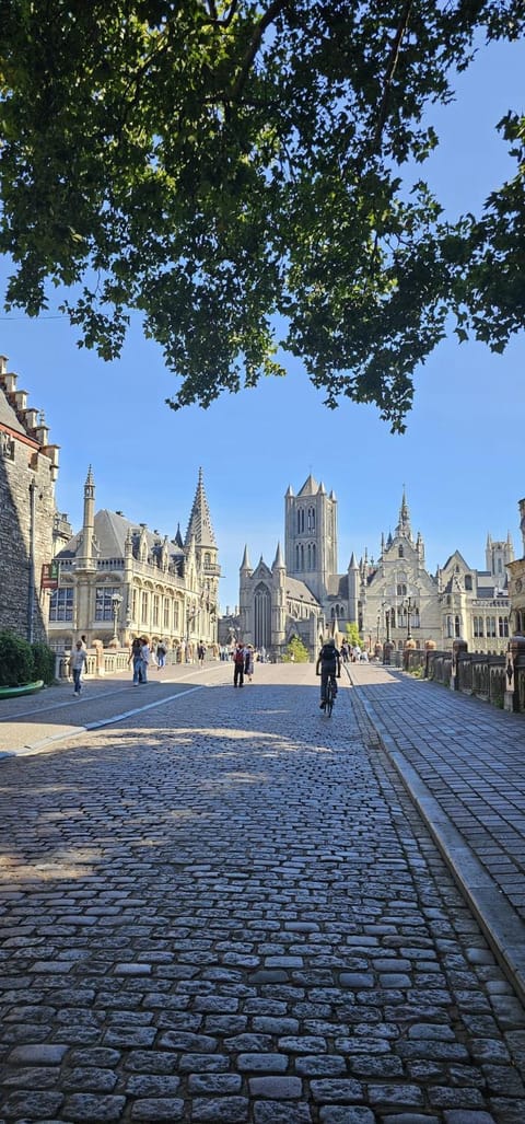 Strole's House Apartment in Ghent