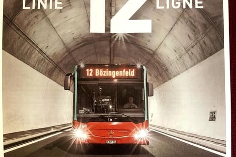 Dream room in basement with private bathroom Apartment in Canton of Bern (Region)