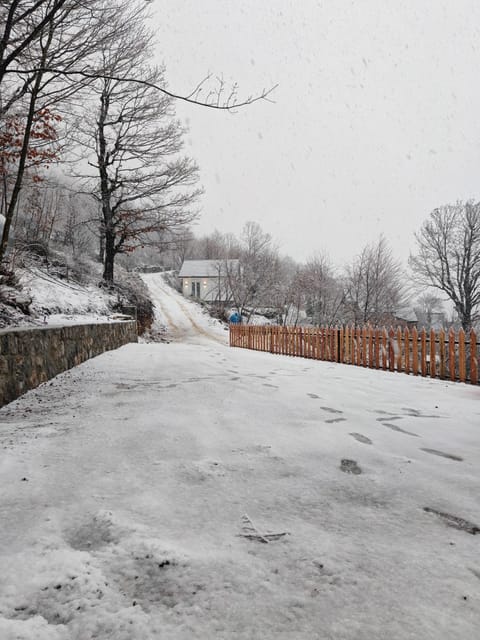 Day, Neighbourhood, Natural landscape, Winter