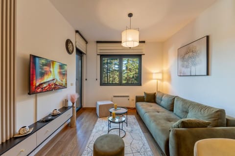 TV and multimedia, Living room, Seating area, Evening entertainment, Mountain view, internet, internet