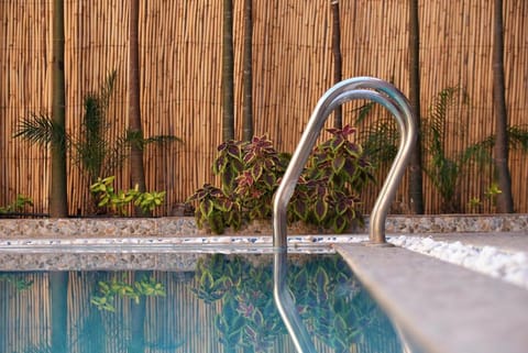 Garden, Pool view, Swimming pool