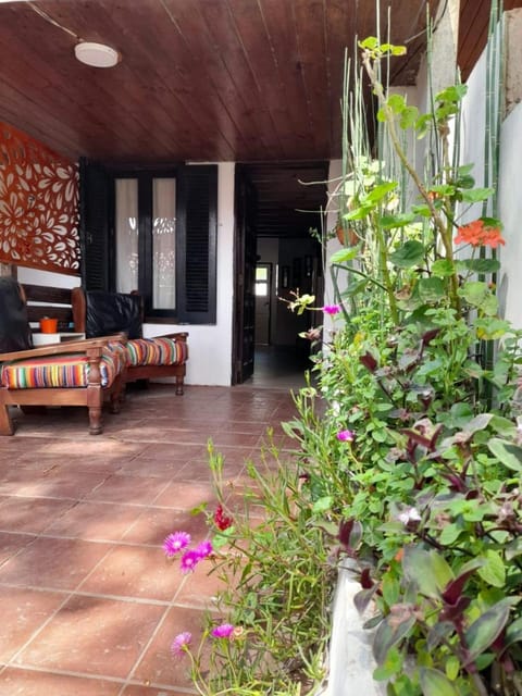 Garden, Garden, Garden view