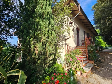 Property building, Garden
