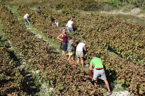 Kastro Kera Apartment in Crete