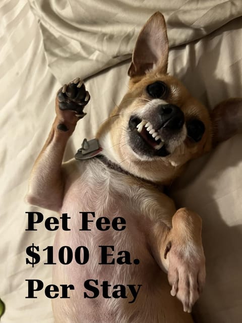 Perfecto Mundo 2, Orlando Area 4BR-2B-Outdoor Pool-Jacuzzi-Billiard House in Altamonte Springs