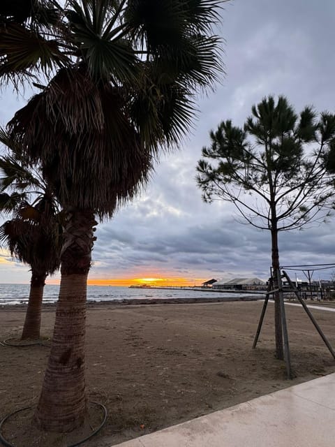Nearby landmark, Day, Natural landscape, Beach, Sea view, Sunrise, Sunset