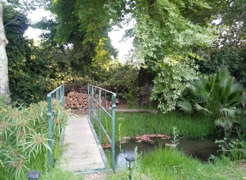 Natural landscape, Garden, Garden view, River view