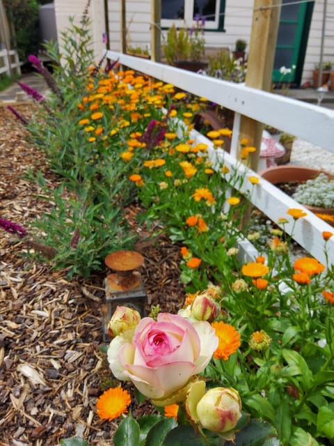 Heartland cottage House in Tasmania