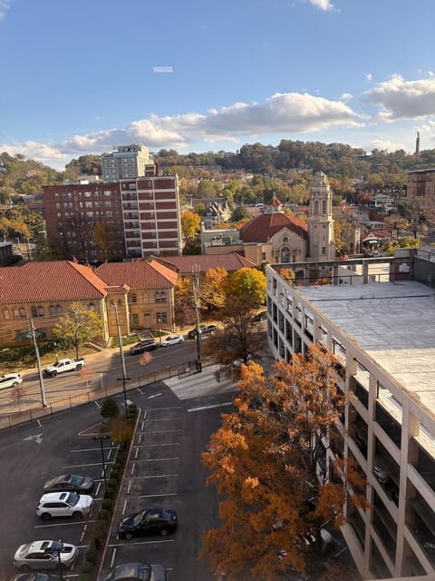 Opulent Oasis Located in The Heart of Birmingham Apartment in Vestavia Hills