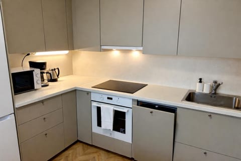 dishwasher, stove, kitchen