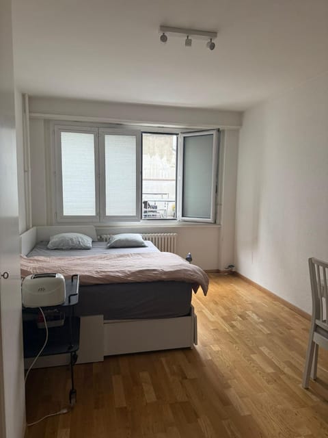 Pâquis appartement Apartment in Geneva