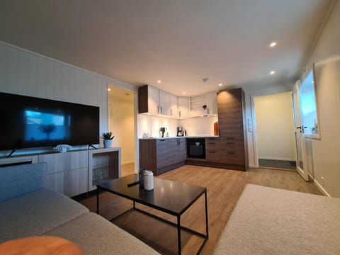 Kitchen or kitchenette, Living room, oven, stove