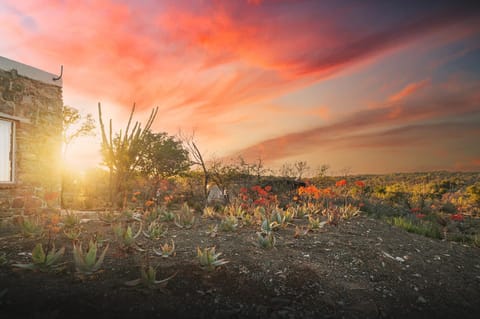 Natural landscape
