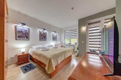 Bed, TV and multimedia