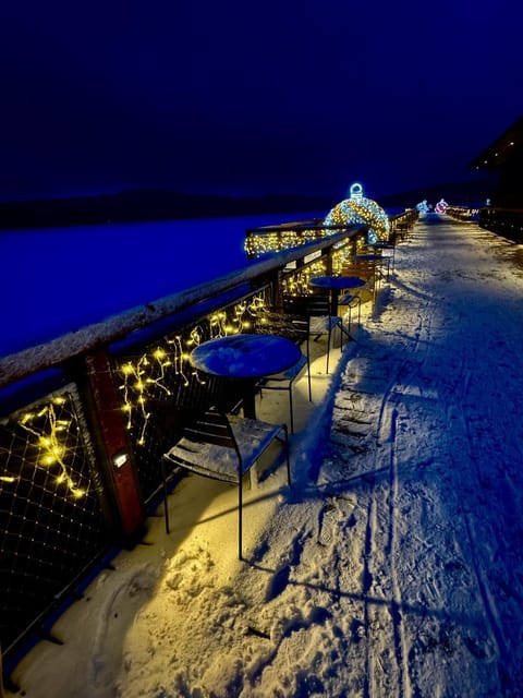 Night, Winter, Lake view