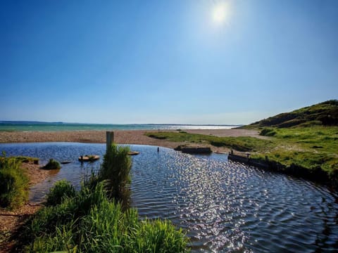 Cabin 100 Cabin in Fareham District