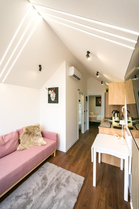 Kitchen or kitchenette, Living room, Seating area, Dining area, minibar, oven, pet friendly, stove