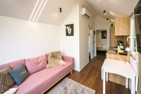 Kitchen or kitchenette, Living room, Seating area, Dining area, minibar, oven, pet friendly, stove, air conditioner