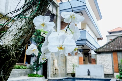 Property building, Spring, Day, Garden, Garden, Garden view