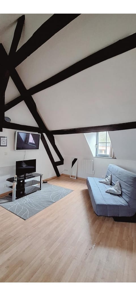 L'Envolée Mansardée - Center Apartment in Chartres