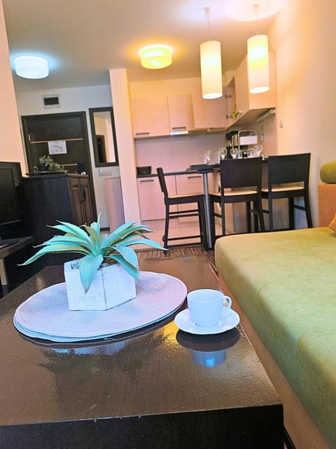 Kitchen or kitchenette, Living room, Seating area, Dining area, stove