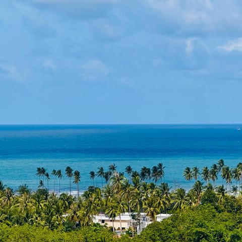 Natural landscape, Beach, Sea view