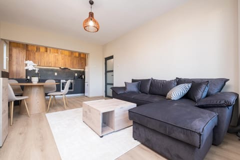 Kitchen or kitchenette, Living room, Seating area, Dining area, pet friendly, stove