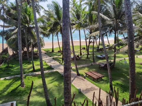 Garden, Beach, Sea view