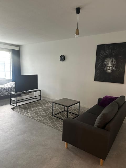 Hostel400Kokkola Kaksio Hollihaka Apartment in Finland